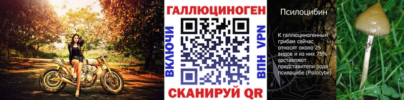 Псилоцибиновые грибы Psilocybe  Купить где  Пущино 
