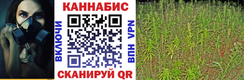 Конопля марихуана  Купить  Пущино 